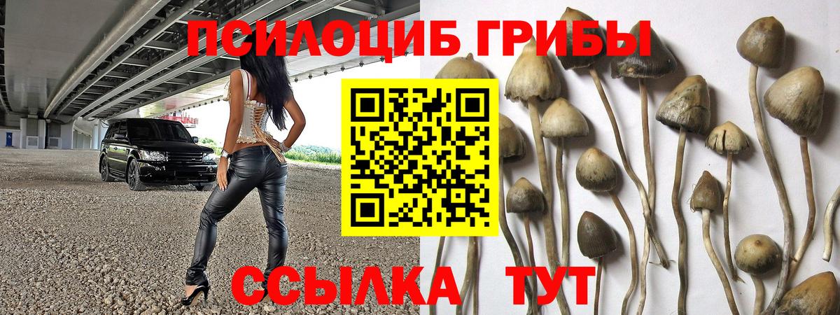 Галлюциногенные грибы Psilocybine cubensis  Псилоцибиновые грибы мицелий  Вход с VPN  Домодедово 
