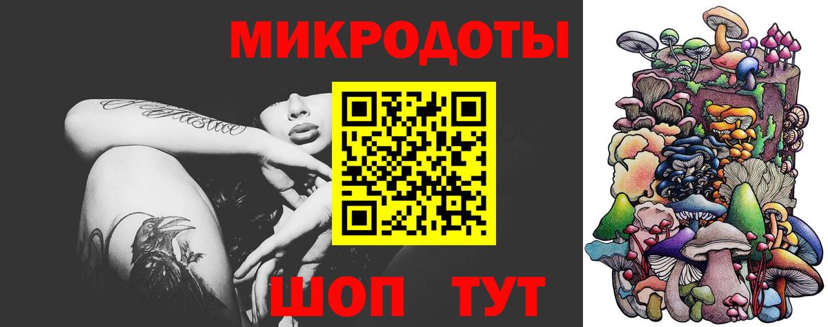 Псилоцибиновые грибы Cubensis Домодедово